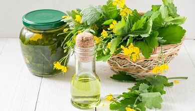 celandine tincture to eliminate parasites from the body